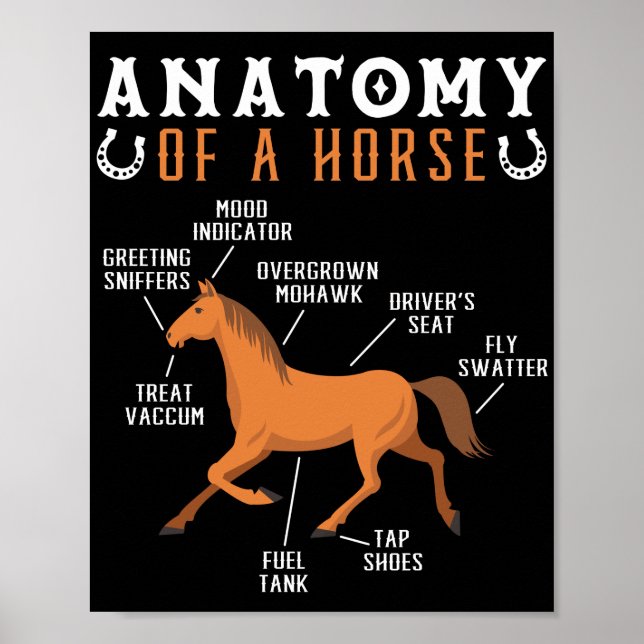 Affiche Anatomie Équestre D'Un Amoureux Du Cheval (Devant)