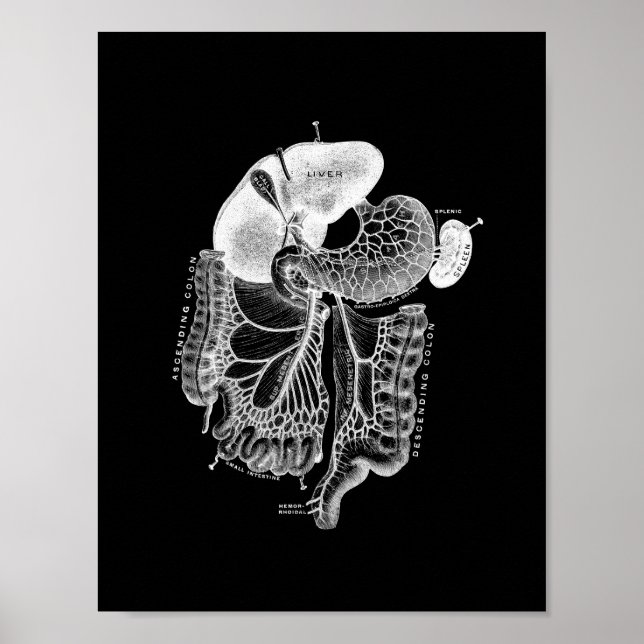 Affiche Anatomie interne humaine en noir et blanc (Devant)