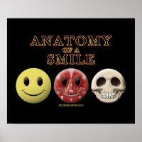 Anatomy of a Smile