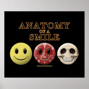 Affiche Anatomy of a Smile