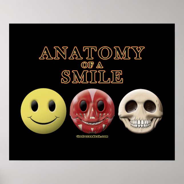 Affiche Anatomy of a Smile (Devant)