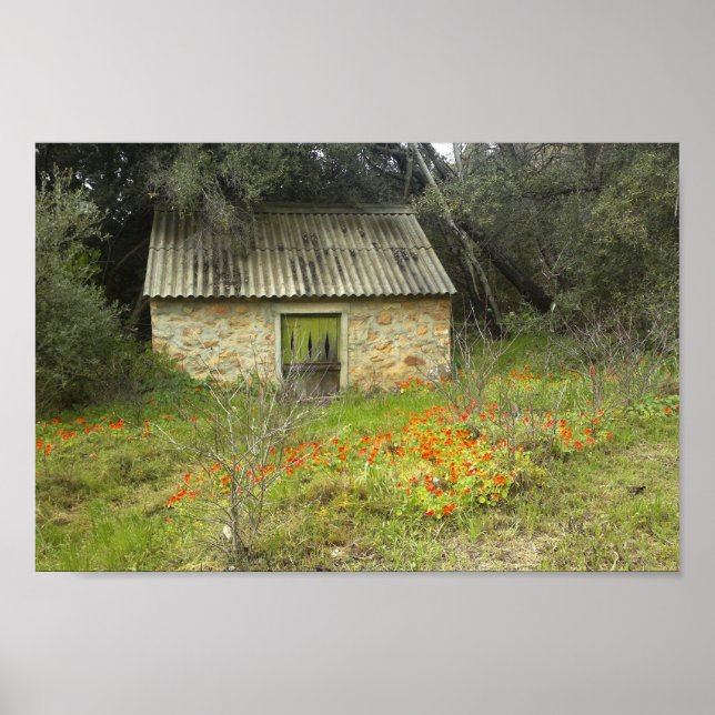 Affiche Ancien chalet en pierre rustique Fleurs de prairie (Devant)