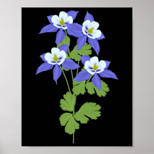 Affiche Ancolie du Colorado Fleur Fleur Sauvage Nature Ran
