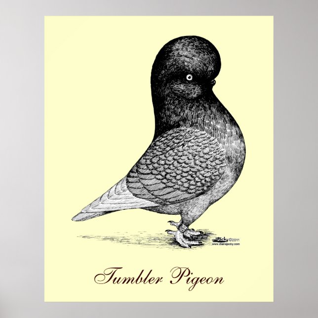 Affiche Andalusian Tumbler (Devant)