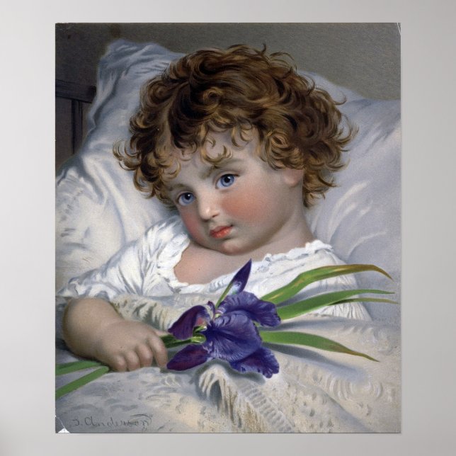 Affiche Anderson - Prattling Primrose (Devant)