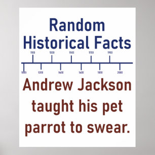 Affiche Andrew Jackson A Appris Son Perroquet À Jouer - Hi