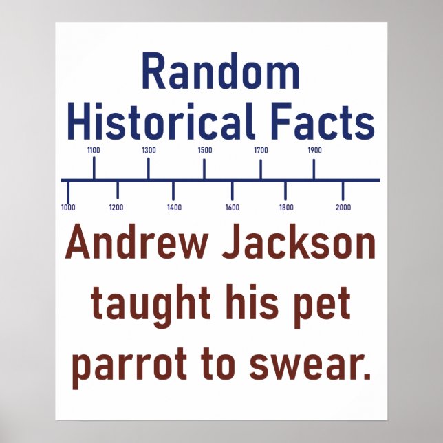 Affiche Andrew Jackson A Appris Son Perroquet À Jouer - Hi (Devant)