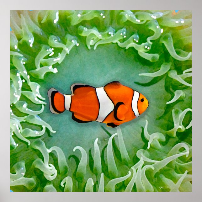 Affiche Anémone (Devant)