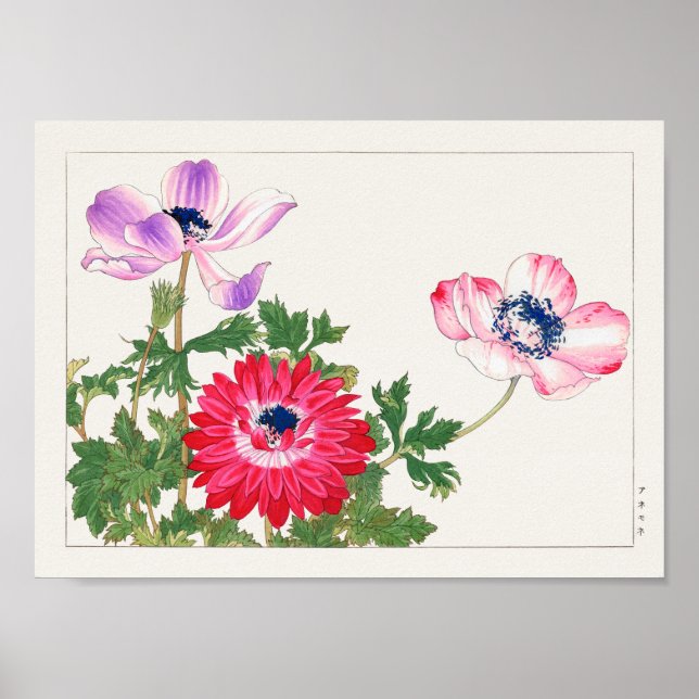 Affiche Anemone coronaria par Tanigami Konan (Devant)