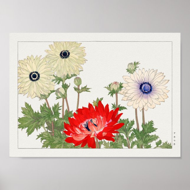Affiche Anemone par Tanigami Konan (Devant)