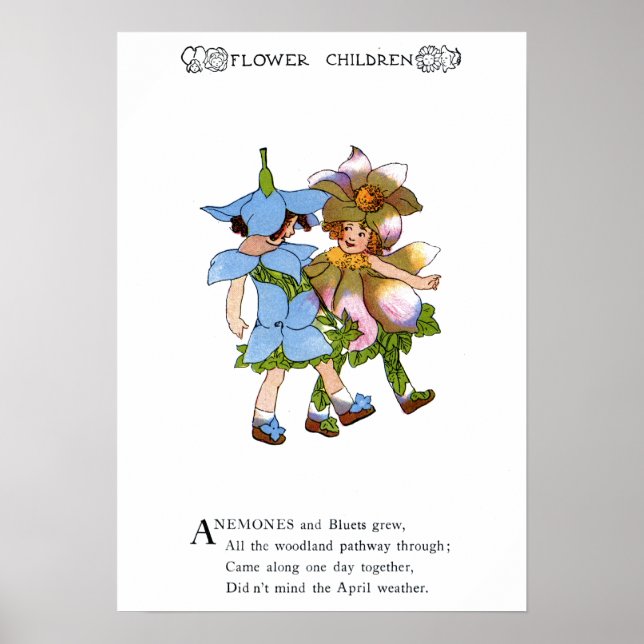 Affiche Anémones et Bluets (Devant)