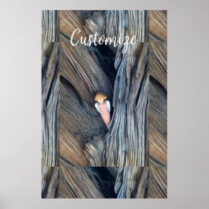 Affiche Ange sculpté dans l'arbre Thunder Cove