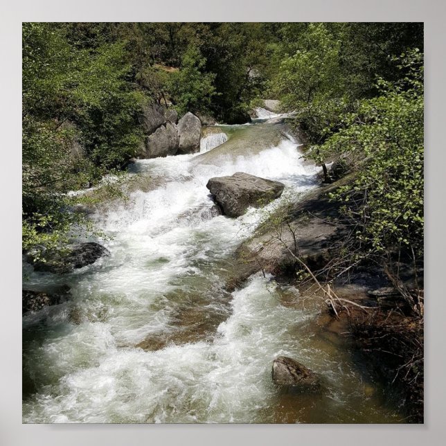 Affiche Angel Falls (Devant)