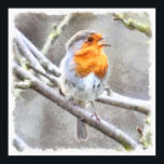 Affiche Angelic Robin Watercolor<br><div class="desc">Angelic Robin Watercolor is a painting of a delightful robin - The UK's favorite bird - with its bright red breast it is familiar throughout the year and especially at Christmas! A seasonal holiday theme with a portent of spring Robins are unphased by human contact, often follow gardeners around the...</div>