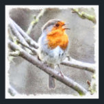 Affiche Angelic Robin Watercolor<br><div class="desc">Angelic Robin Watercolor is a painting of a delightful robin - The UK's favorite bird - with its bright red breast it is familiar throughout the year and especially at Christmas! A seasonal holiday theme with a portent of spring Robins are unphased by human contact, often follow gardeners around the...</div>