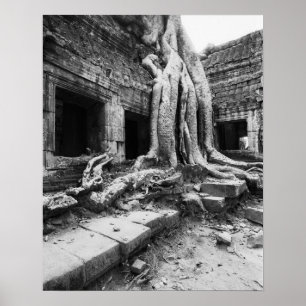 Affiche Angkor Cambodia, Ta Prohm Tree