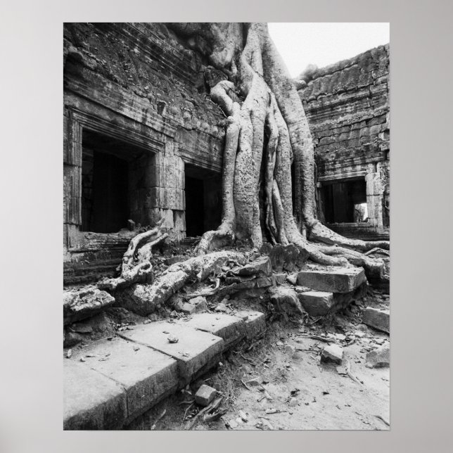 Affiche Angkor Cambodia, Ta Prohm Tree (Devant)