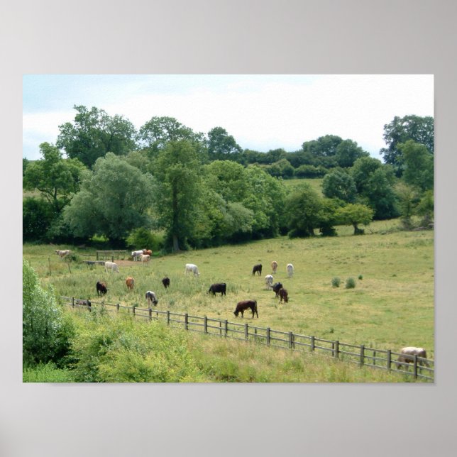 Affiche Anglais (Devant)