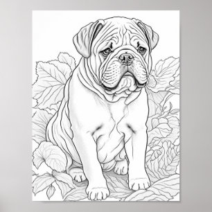 Affiche Anglais Bulldog Adult Coloration