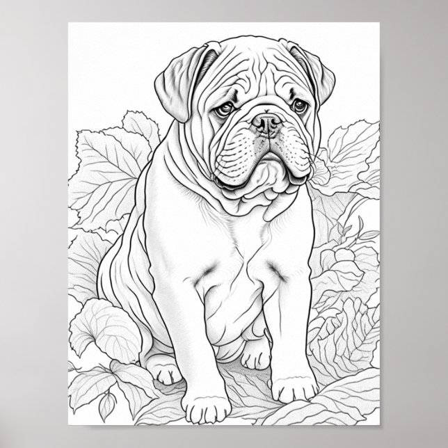 Affiche Anglais Bulldog Adult Coloration (Devant)