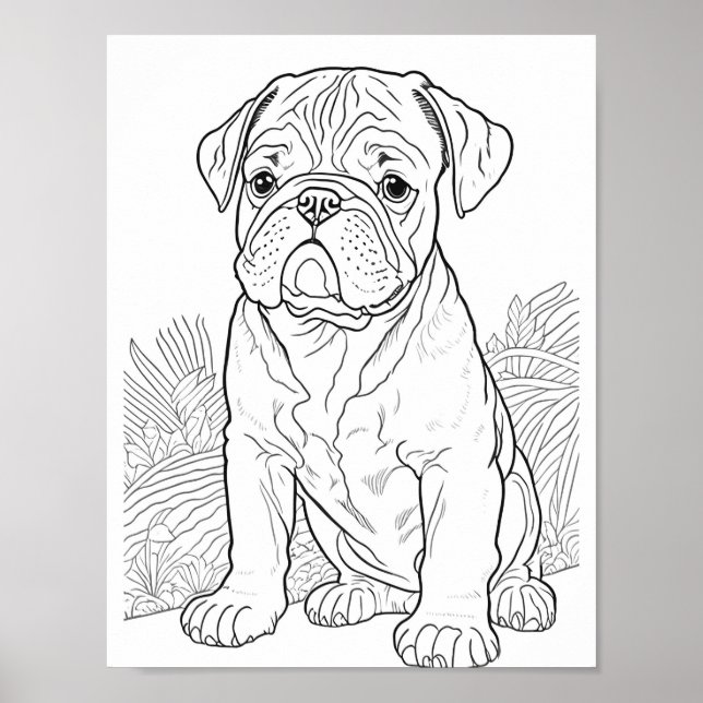 Affiche Anglais Bulldog Adult Coloration (Devant)