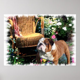 Affiche Anglais Bulldog Art Prints