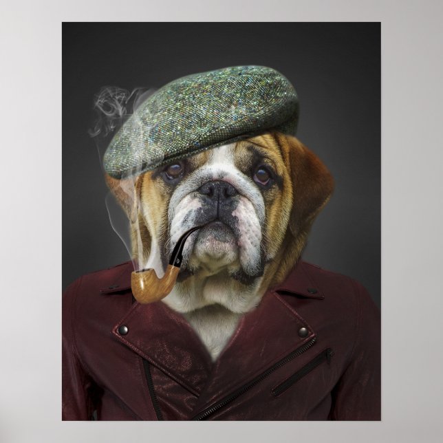 Affiche Anglais Bulldog Français Casquette Pipe (Devant)