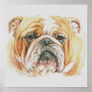 Affiche Anglais Bulldog visage aquarelle