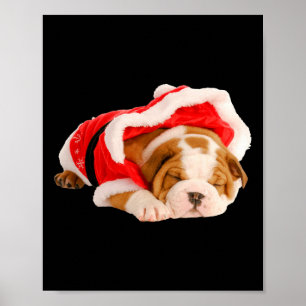 Affiche Anglais Chien Chien Chien Chien Père Noël Costume