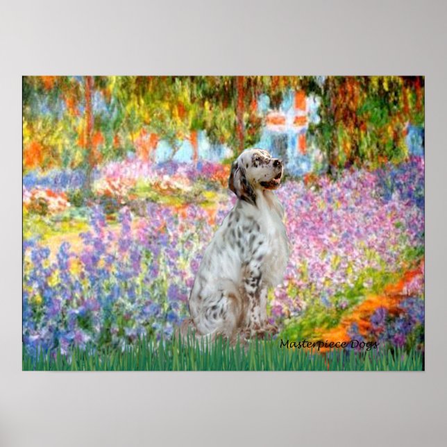 Affiche Anglais Setter 1 - Jardin (Devant)