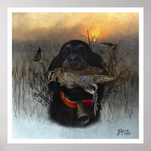 Affiche Anglais Setter, chasse aux oiseaux