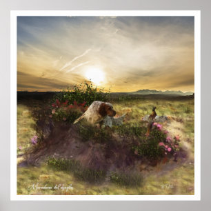 Affiche Anglais Setter, chasse aux oiseaux