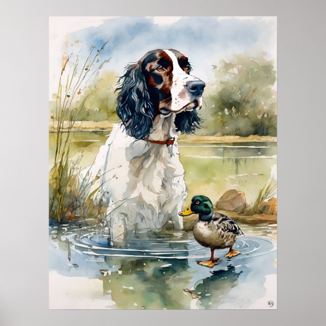 Affiche Anglais Springer Spaniel - Chien Art Imprimer (Devant)