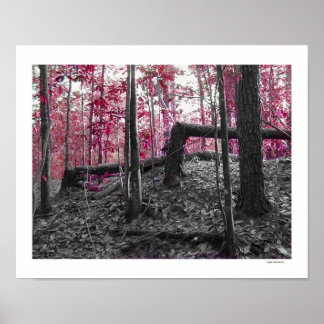 Affiche Angles droits