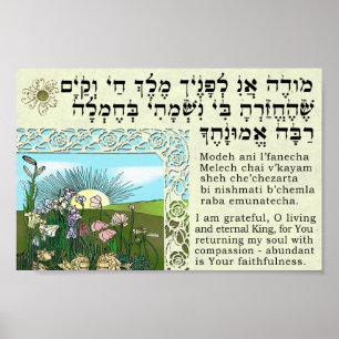 Affiche Ani de Modeh - réveil de la méditation