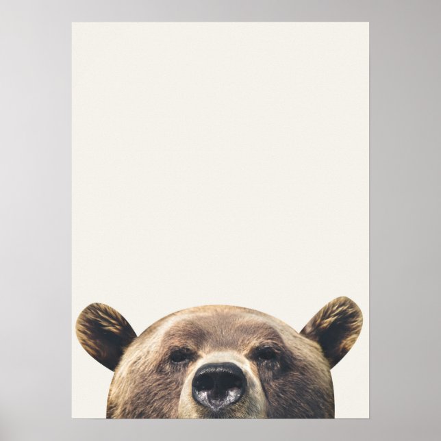 Affiche Animal Bear (Devant)