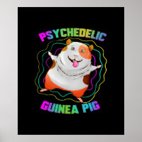 Animal de compagnie de l'EDM Pig de Guinée | Cocho