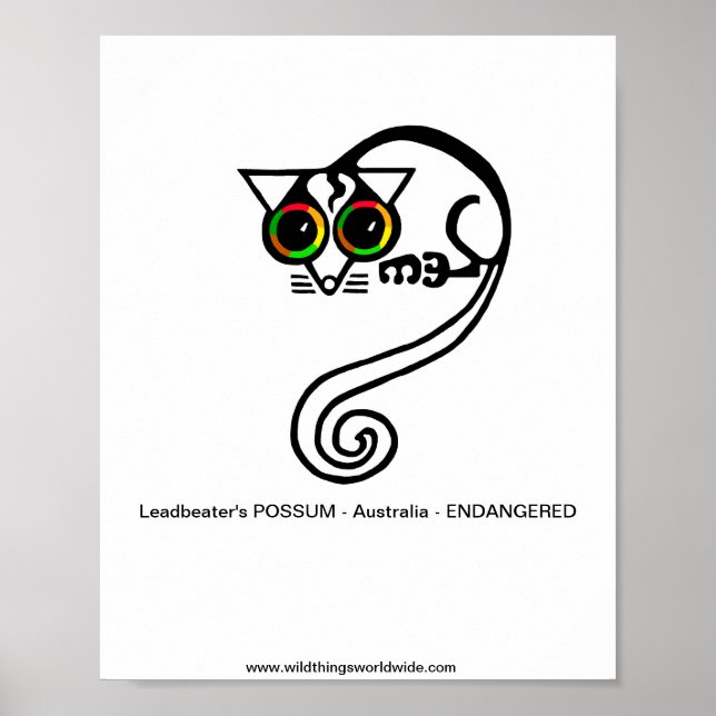 Affiche Animal en voie de disparition - POSSUM de Leadbeat (Devant)