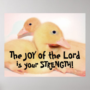 Affiche Animal familier d'animal d'oiseau de caneton de