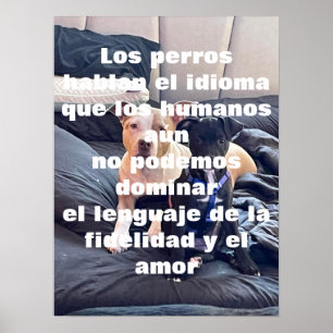 Affiche animal lenguaje