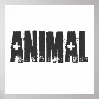 Affiche Animal - Salle de gym Fitness