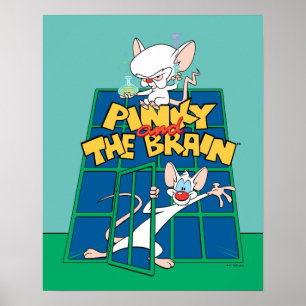 Affiche Animaniacs Pinky et le graphique de la cage céré