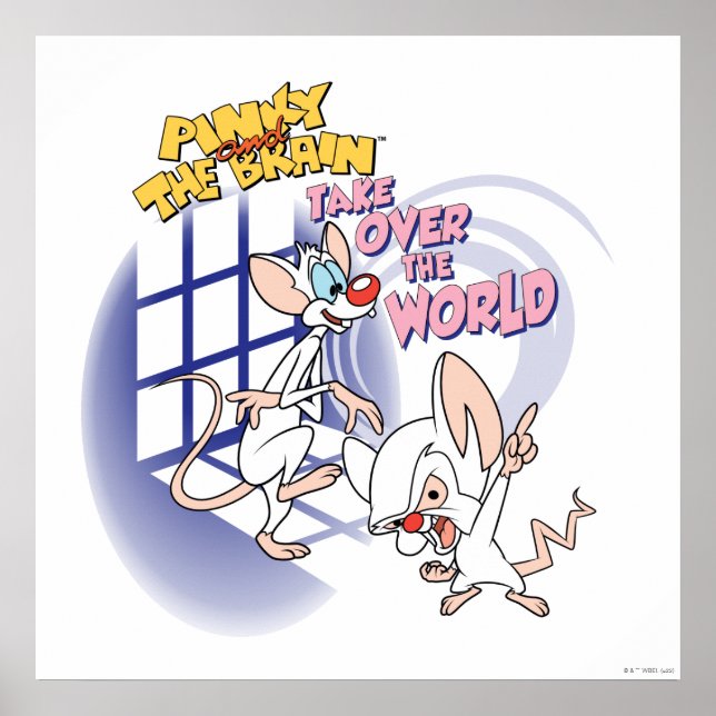 Affiche Animaniacs | Reprendre Le Monde Graphique (Devant)