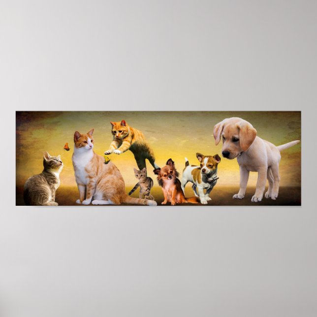 Affiche Animaux (Devant)