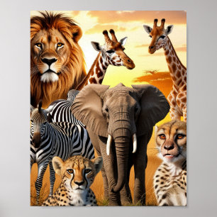 Affiche Animaux africains