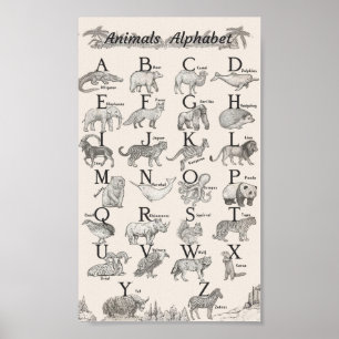 Affiche Animaux alphabet éducatif