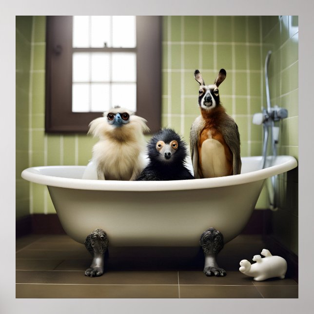 Affiche Animaux amusants dans la salle de bain (Devant)