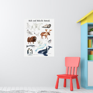 Affiche Animaux arctiques   Formation en classe
