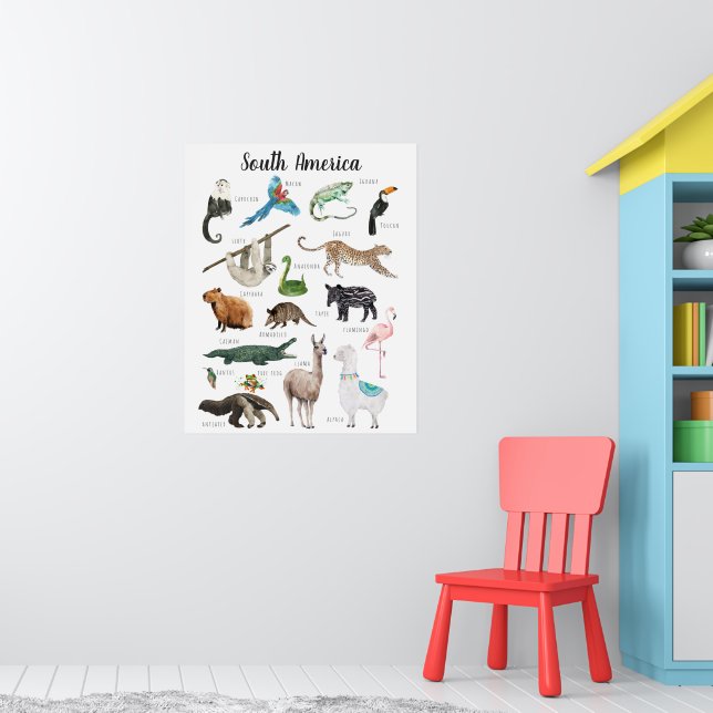 Affiche Animaux d'Amérique du Sud | Éducation Salle de cla (Pépinière 1)