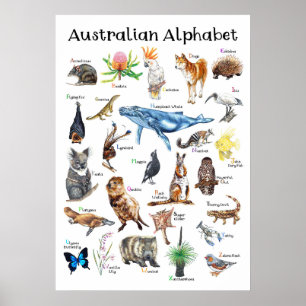 Affiche Animaux d'Australie